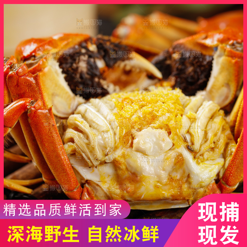 竹底上摆放着清蒸螃蟹