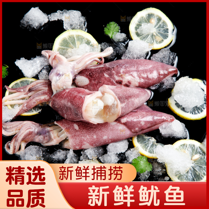 深底上放着生鲜鱿鱼