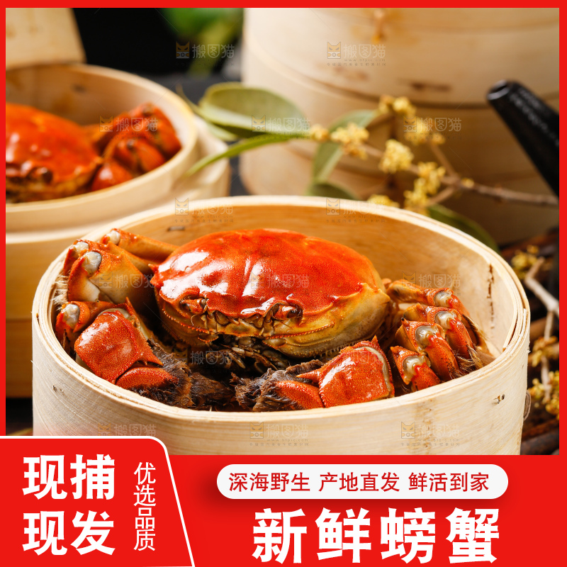 蒸笼里的清蒸螃蟹