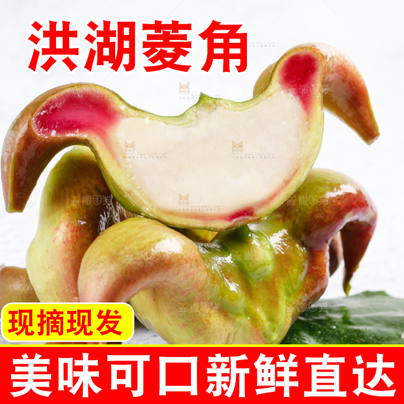 白底上的菱角