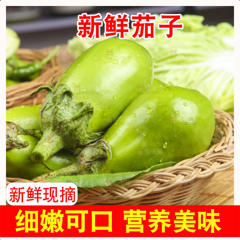 篮子里装着青皮茄子