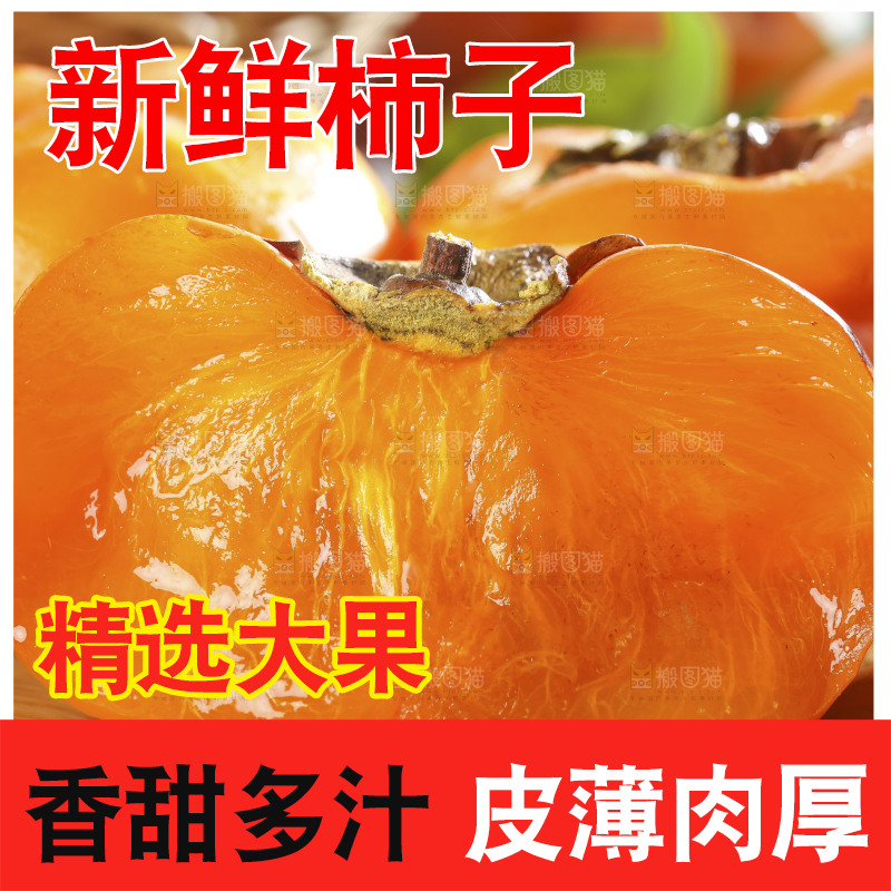 木底上的磨盘柿