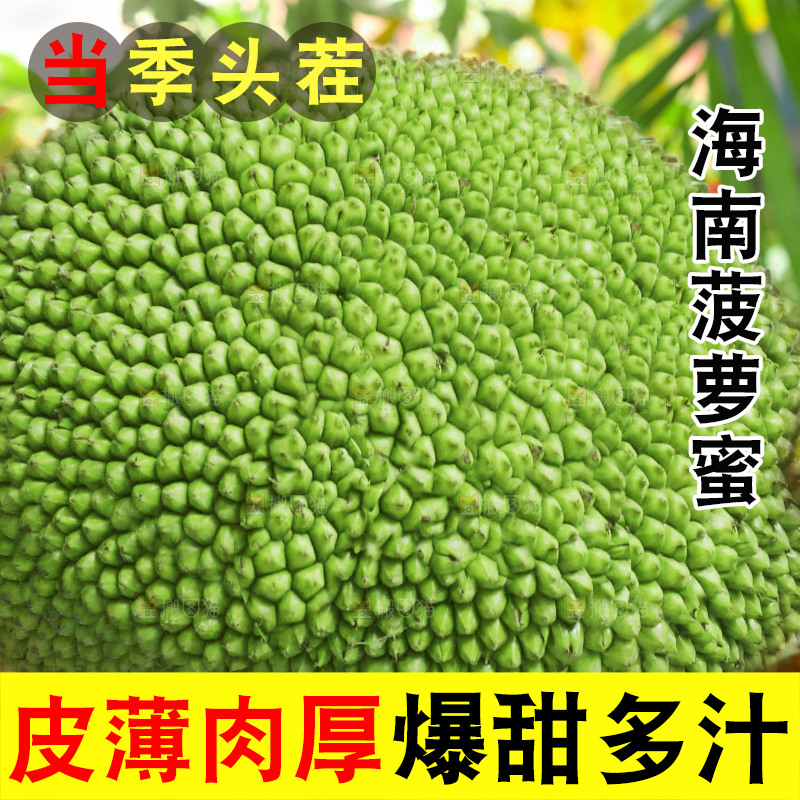 浅底上的泰国红心菠萝蜜