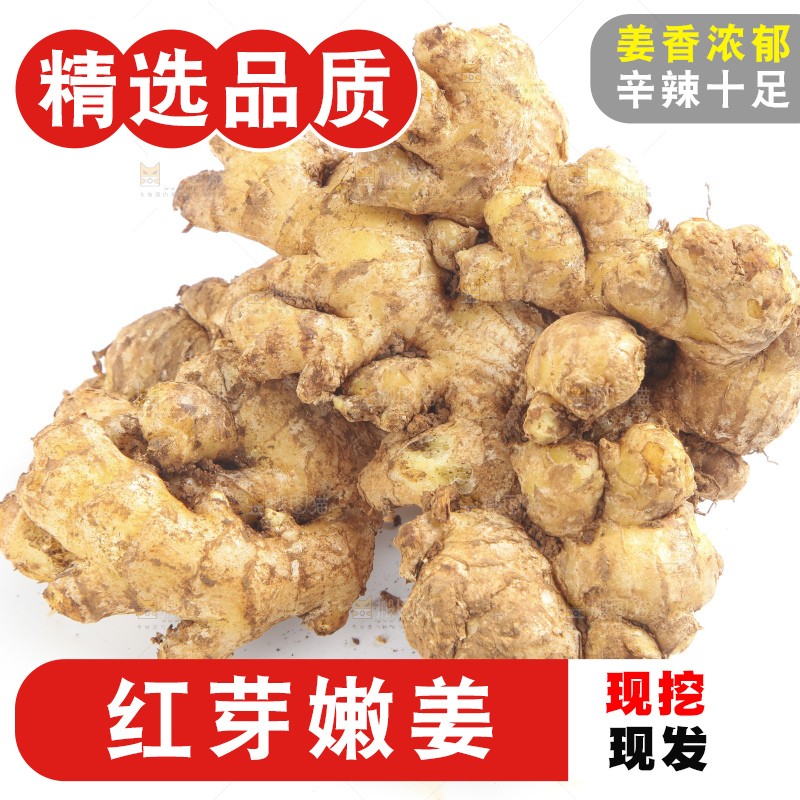 白底上摆放着云南小黄姜