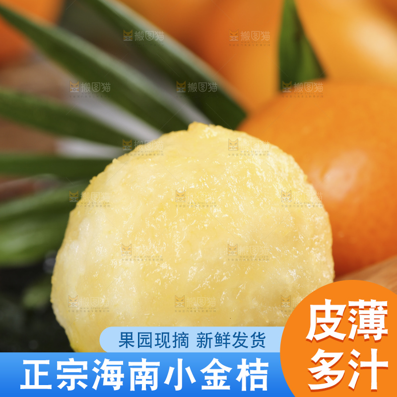 黑石板上的广西金钱橘