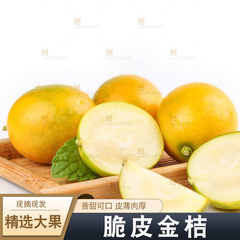 白底上的金桔