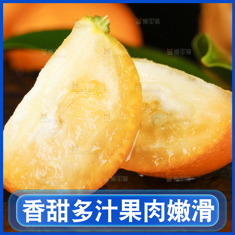 黑底上的小金桔