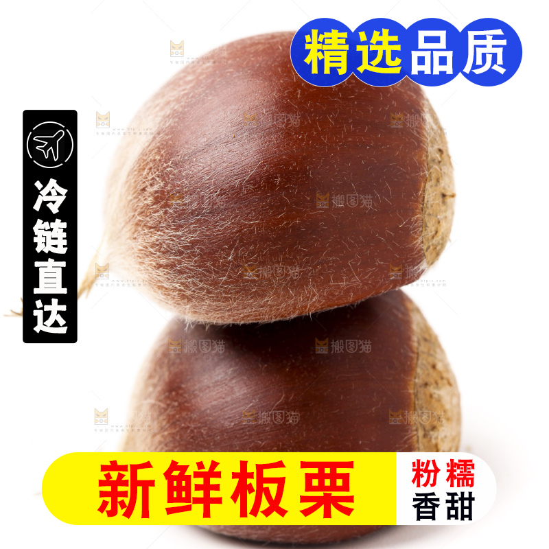 白底上放着迁西板栗