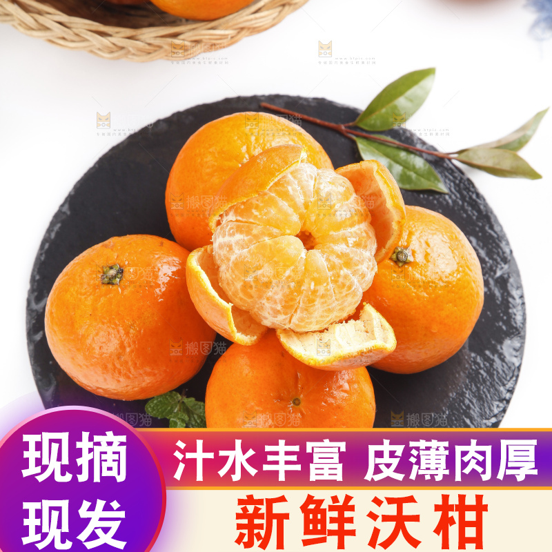 石板上的沃柑