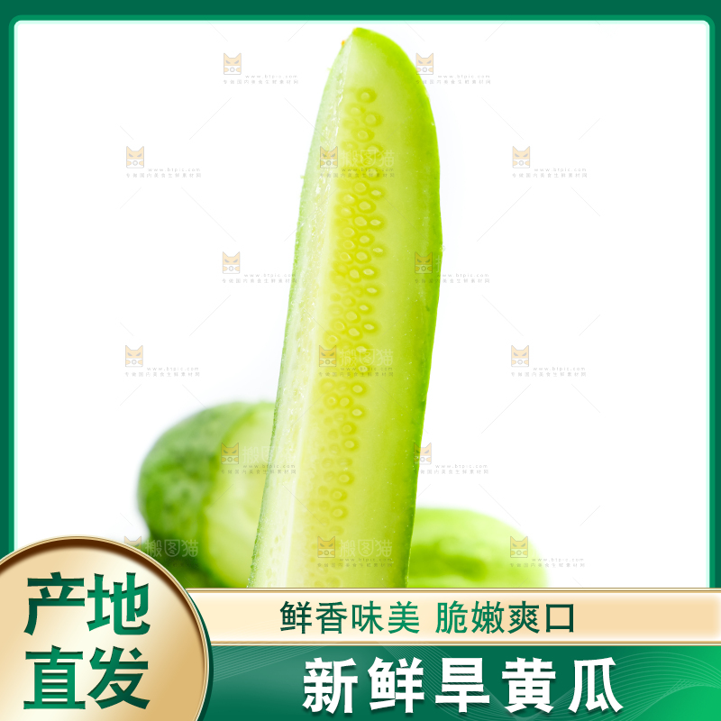 白底上放着新鲜旱黄瓜