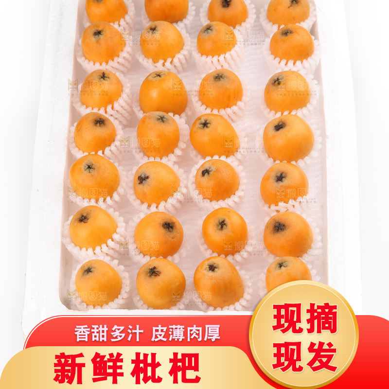 泡沫箱里装着米易枇杷