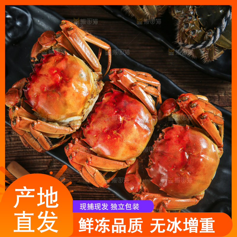 盘子里装着清蒸螃蟹