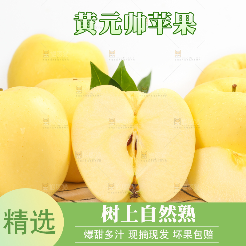白格子底上的烟台黄金帅