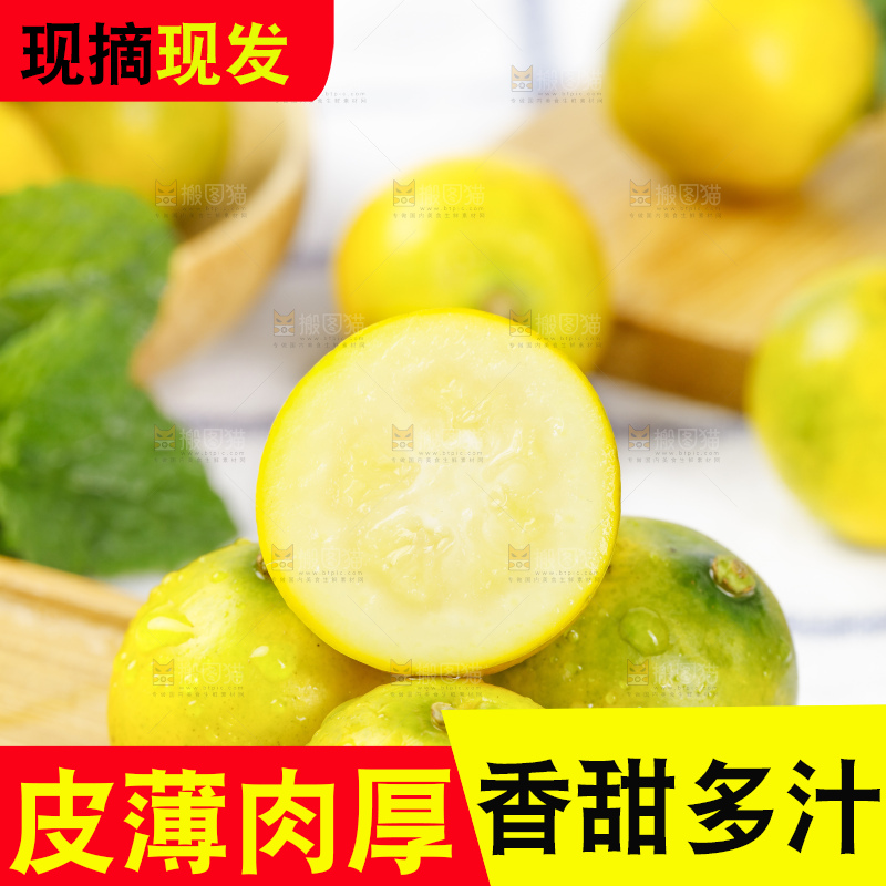 木板上的小金桔
