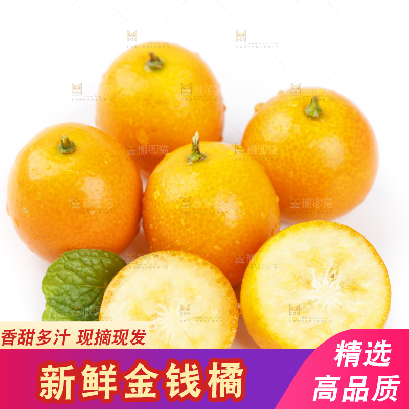 白底上的金桔