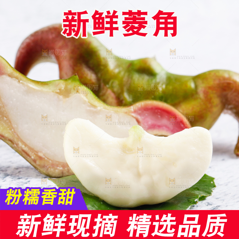 白底上的菱角