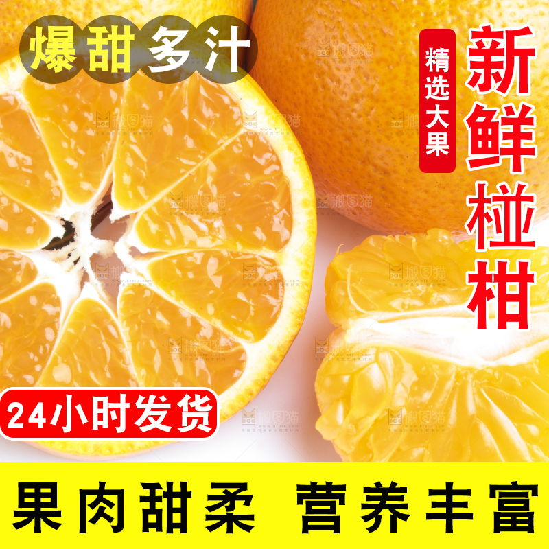 白底上的椪柑橘