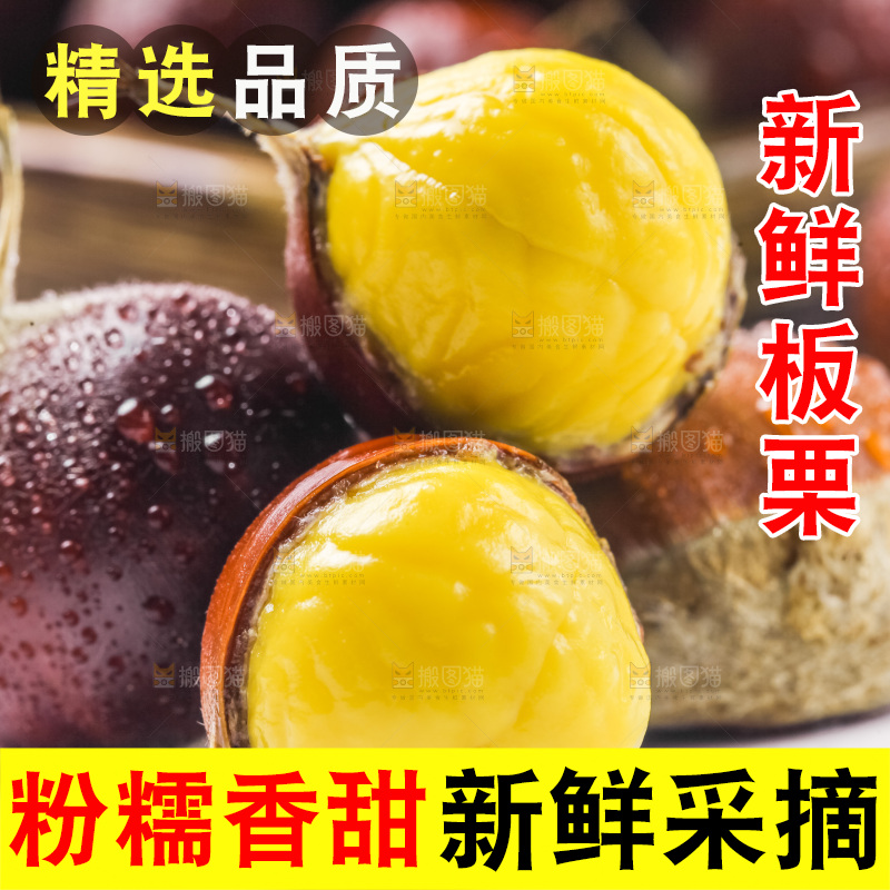 浅底上的板栗