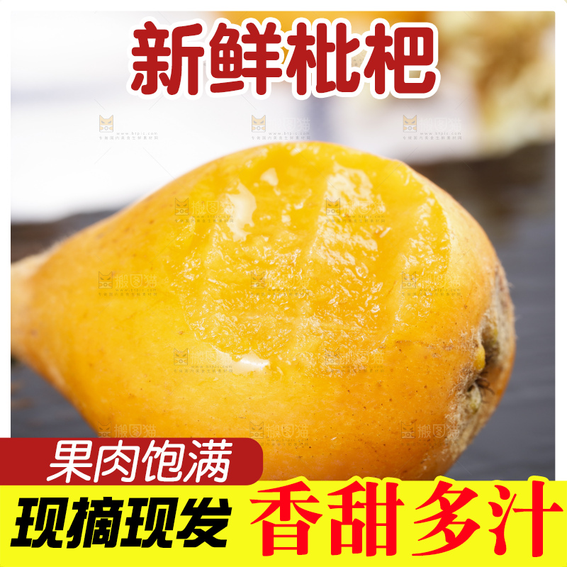 石板上的云南蒙自枇杷