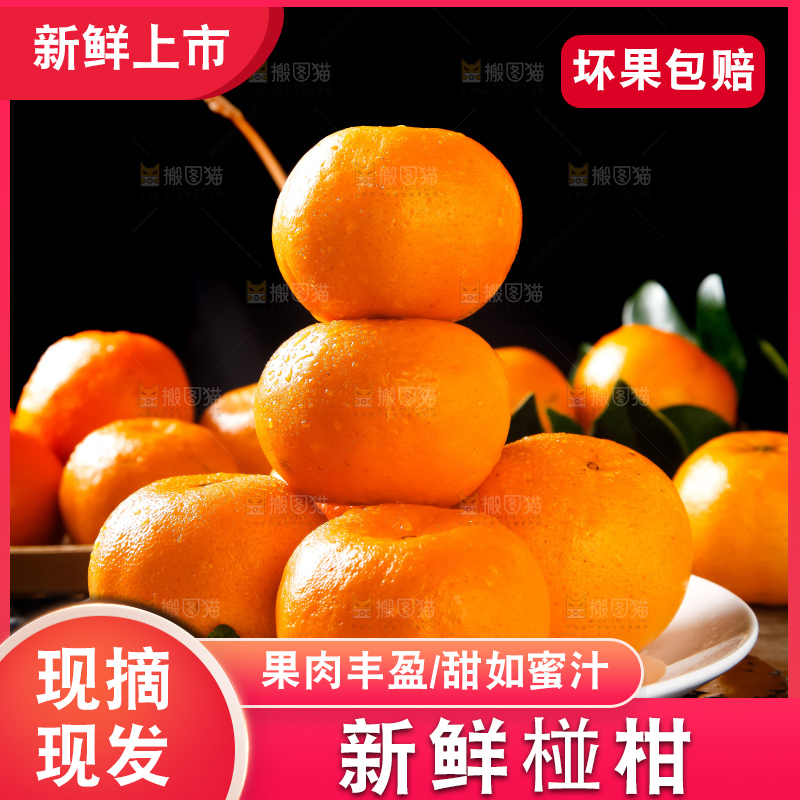盘子里装着椪柑橘