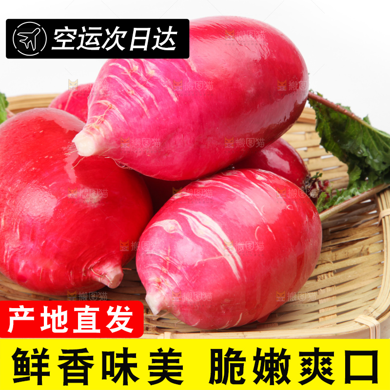 篮子里装着红皮水萝卜