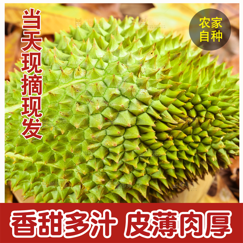 浅底上放着金枕榴莲