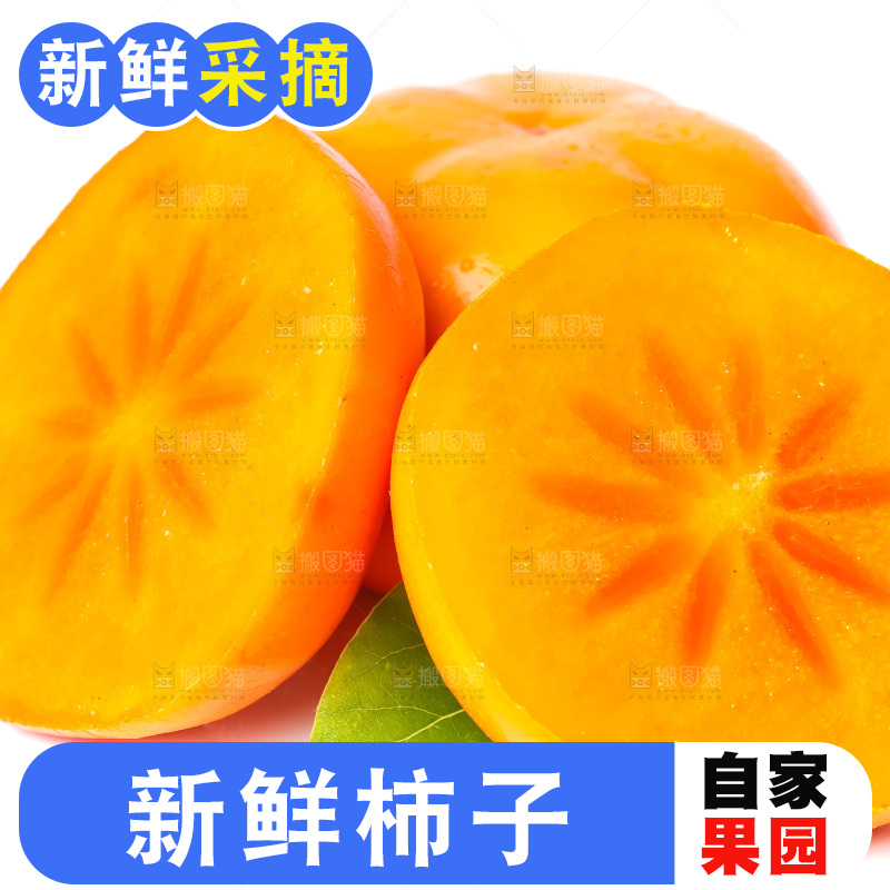 白底上放着磨盘柿