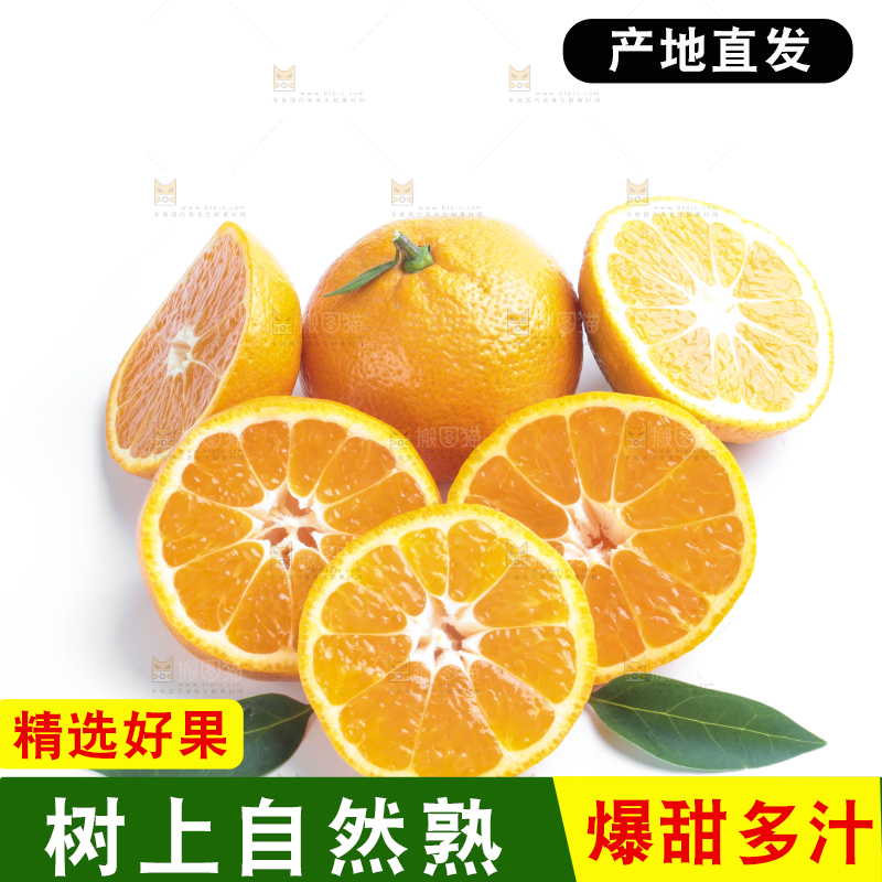 白底上的椪柑