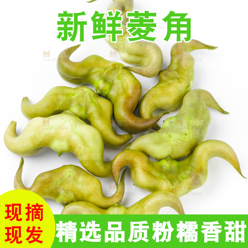 浅底上的新鲜菱角