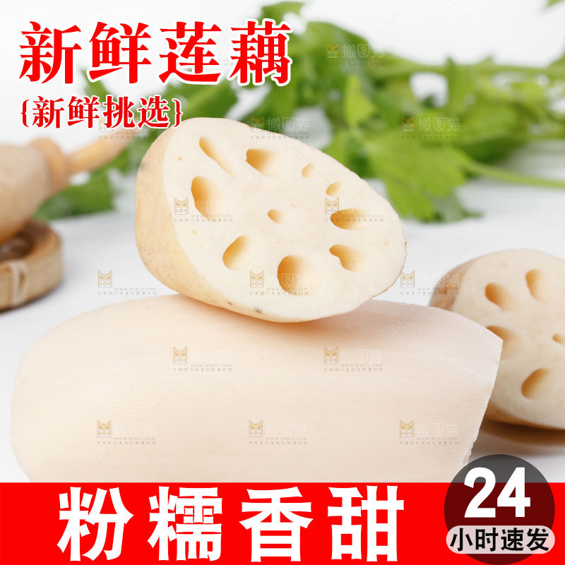 白底上一堆湖北洪湖莲藕