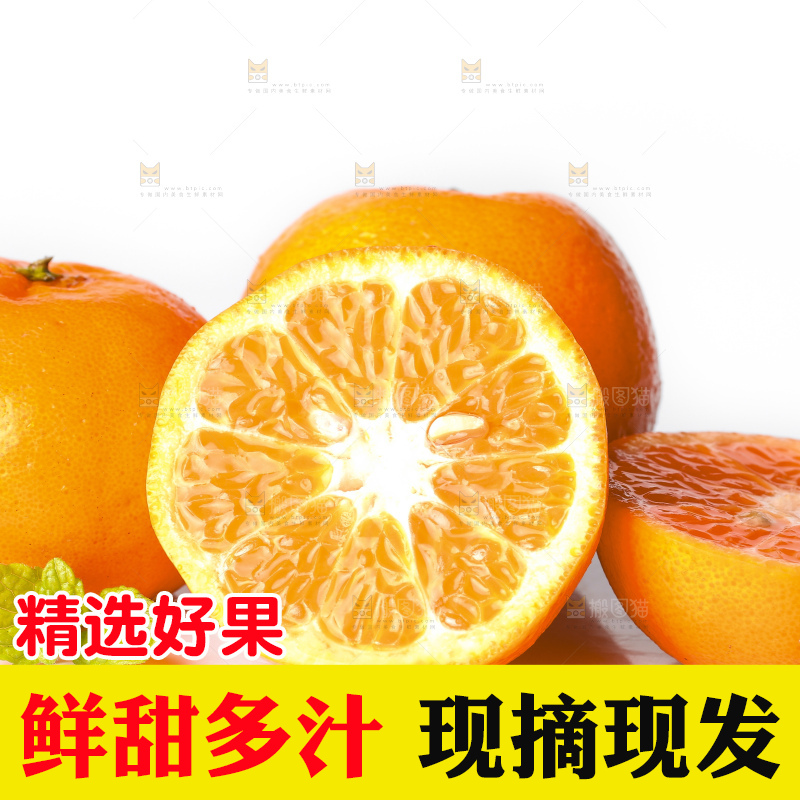 白底上的芦柑