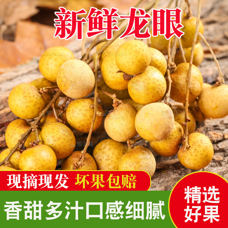 木底上的广东龙眼
