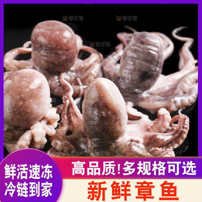 黑底上放着大连章鱼
