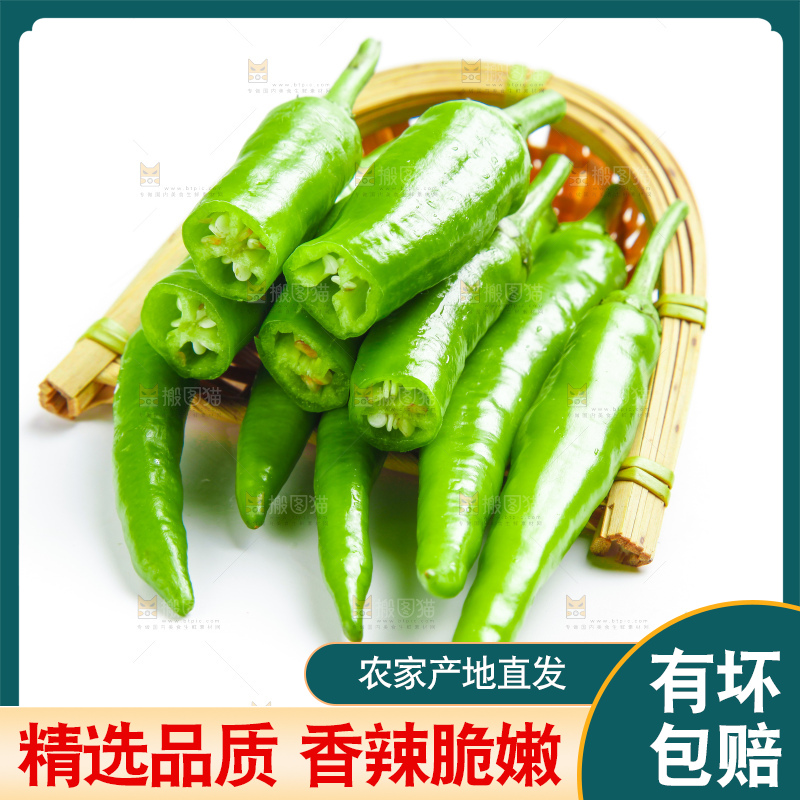 白底上摆放着新鲜杭椒