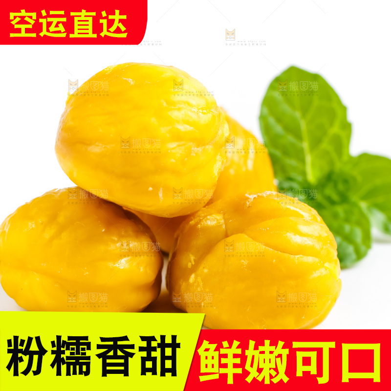 白底上放着毛栗子