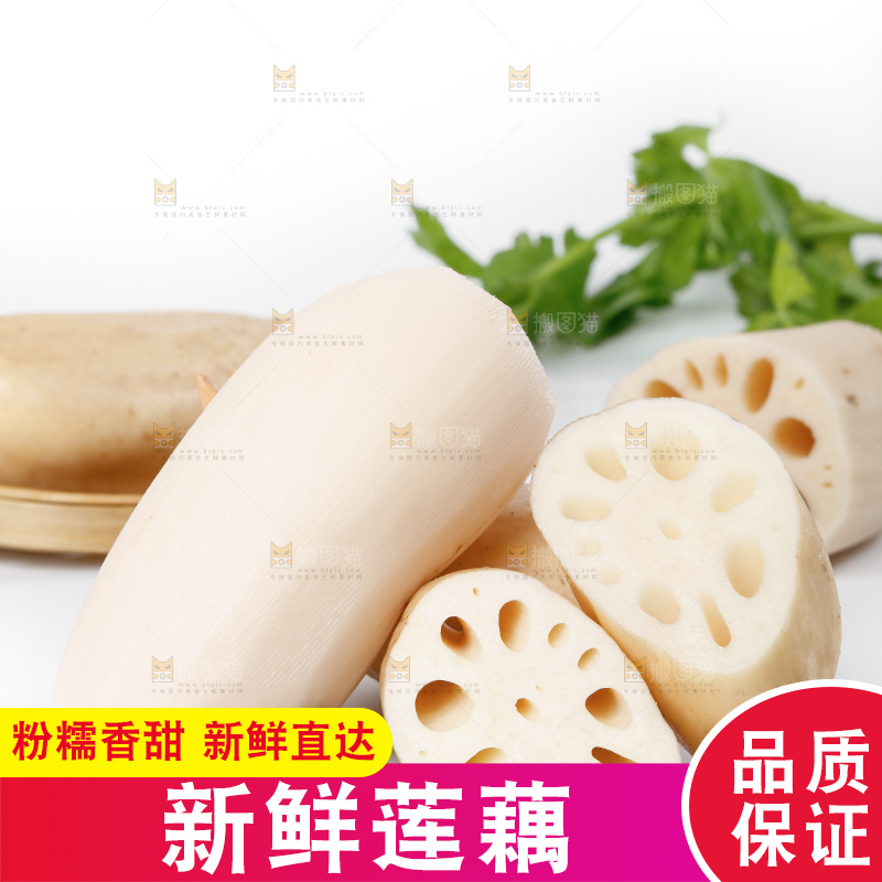 白底上一堆湖北洪湖莲藕