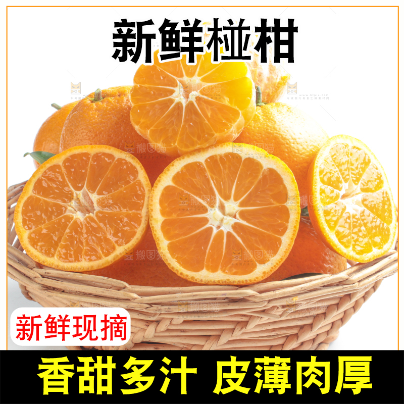 篮子里装着柑橘