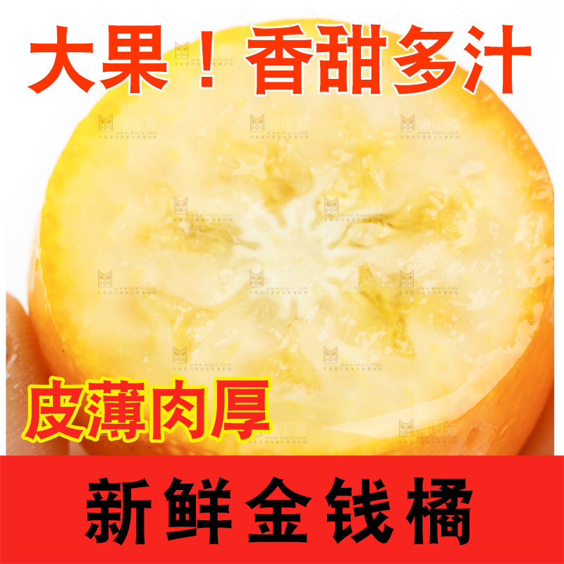 白底上的金桔