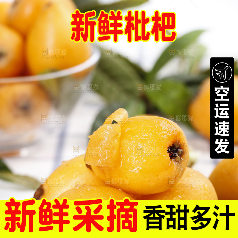 石板上的云南蒙自枇杷