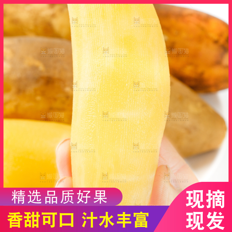 手里拿着新鲜雪莲