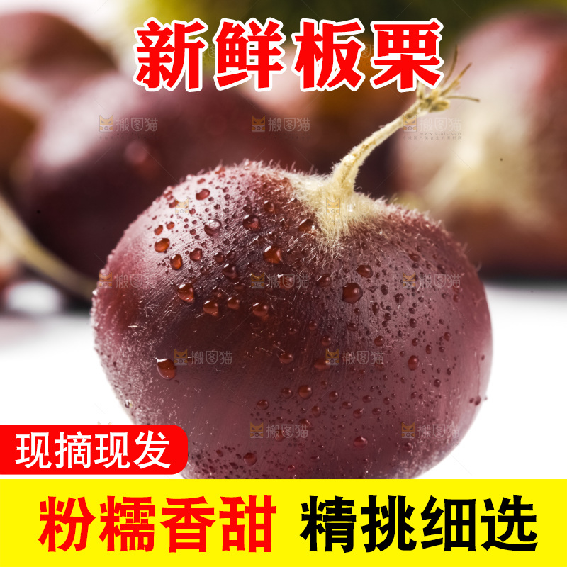 白底上放着迁西板栗