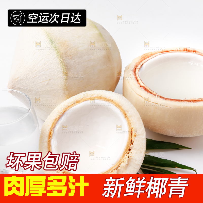 白底上放着泰国椰青