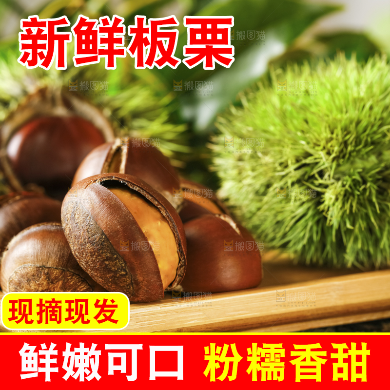 深底上的迁西板栗