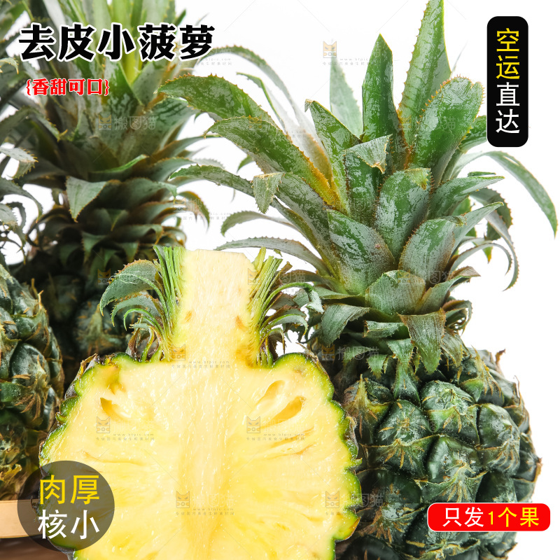 白底上的新鲜小菠萝