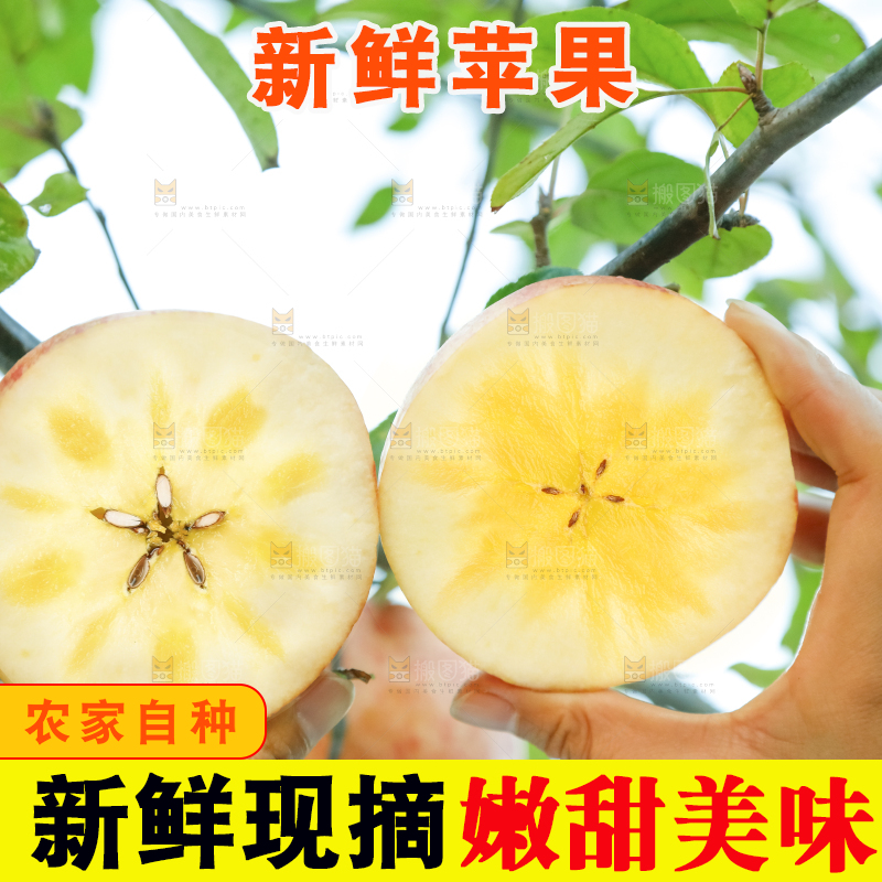 手里拿着新疆冰糖心苹果