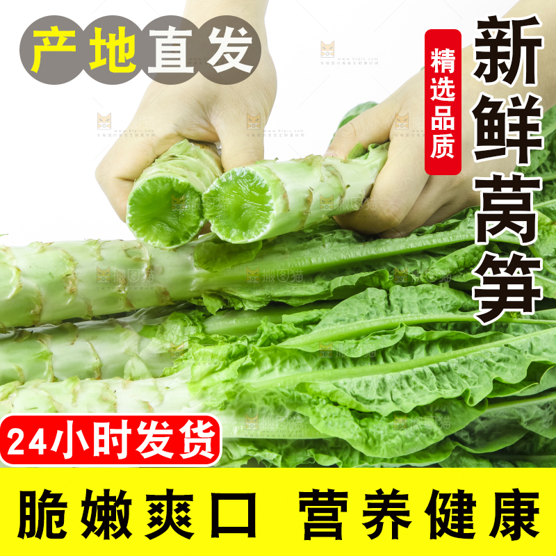 白底上的莴笋