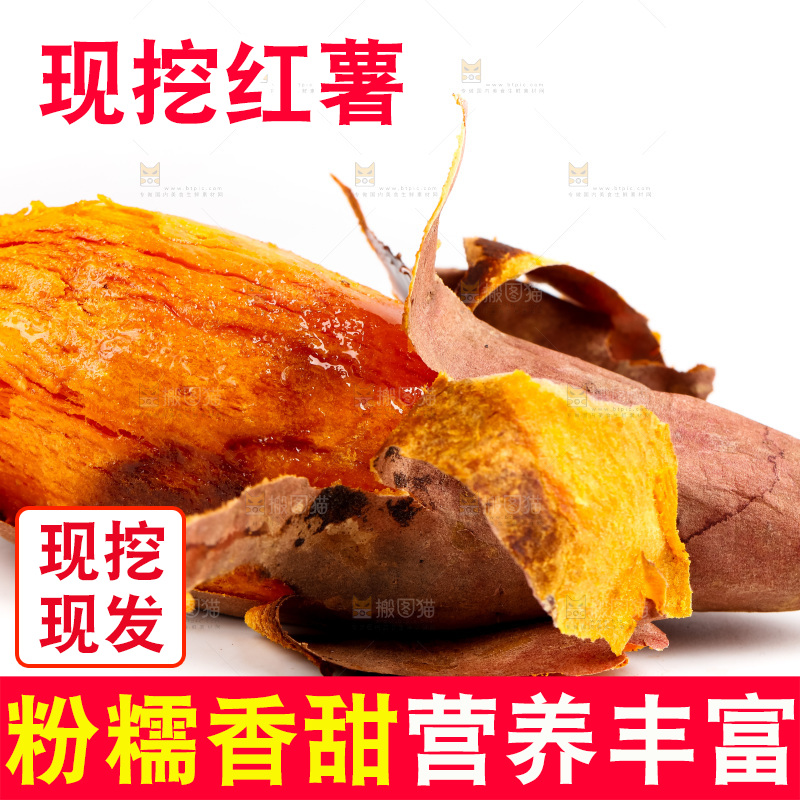 白底上的红薯