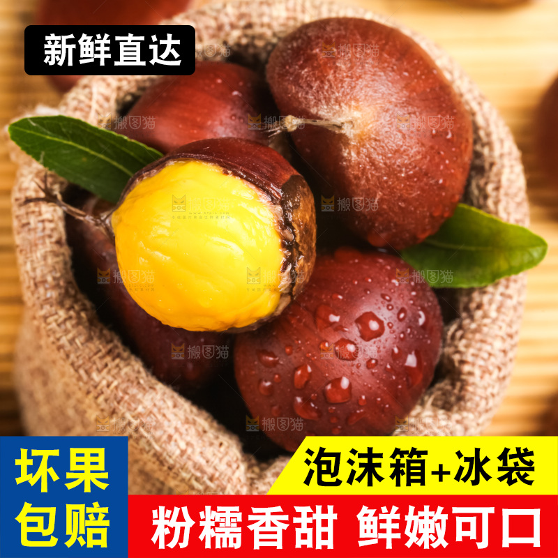 深底上的迁西板栗