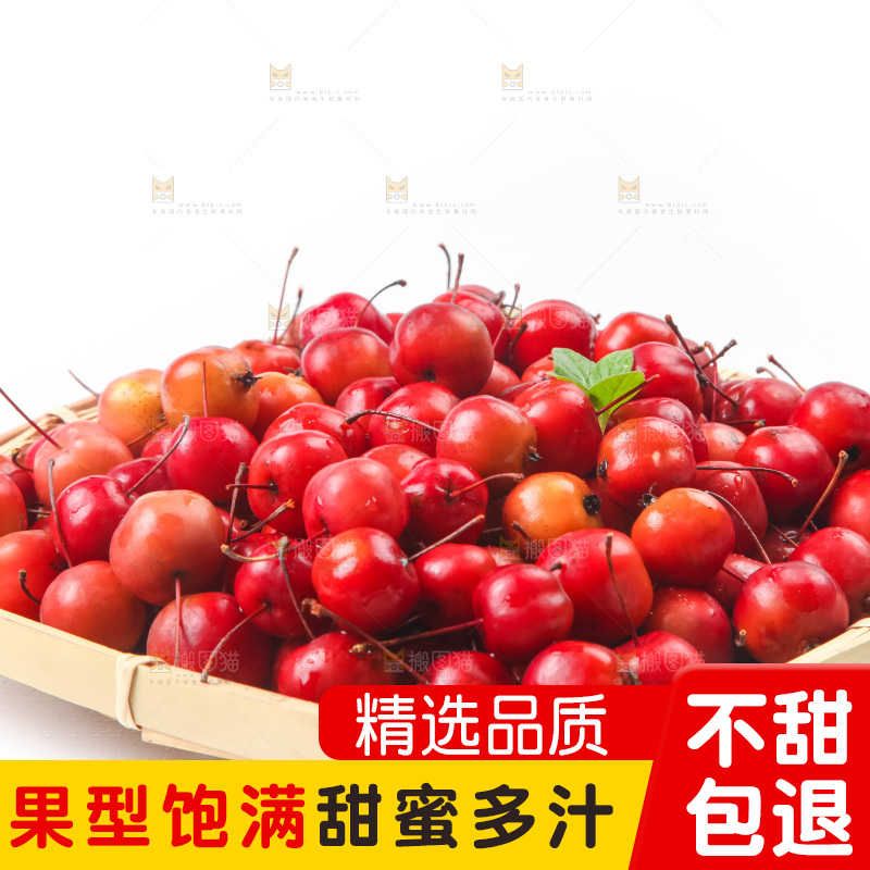 白底上放着东北海棠果