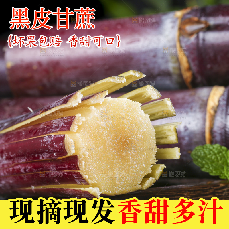 深底上的广西黑皮甘蔗